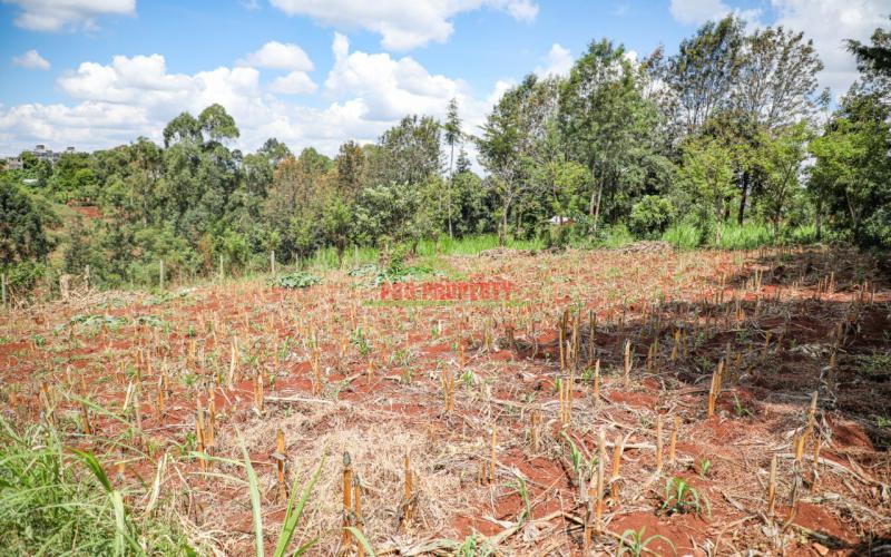 Prime Commercial Plot For Sale In Lower Kabete