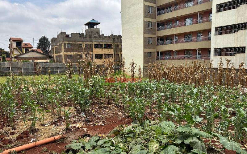 Commercial Plot For Sale In Kinoo, Regen