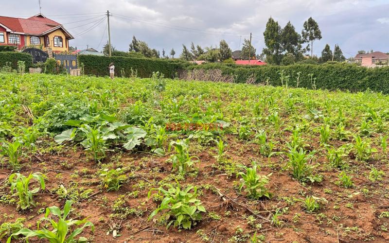 Prime Residential Plot For Sale In Kikuyu, Kamangu.