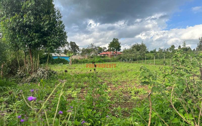 Affordable 1/4 Acre Plot For Sale In Kikuyu-thigio