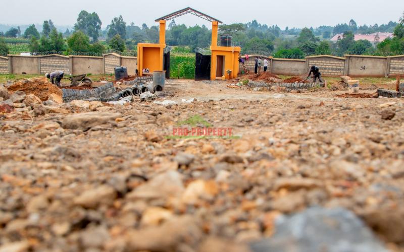 Rose Gate Estate Phase 3 In Kikuyu, Lusingetti.