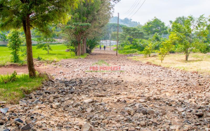 Prime 1/4 Acre Plots For Sale In Ngong In A Gated Community (tulivu Estate)