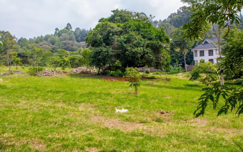 Prime 1/4 Acre Plots For Sale In Ngong In A Gated Community (tulivu Estate)