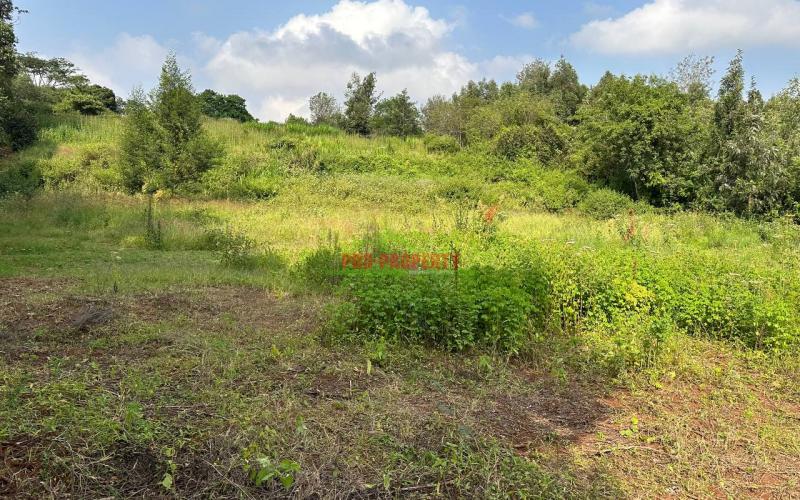 Residential Plot For Sale In Kikuyu, Ondiri-kiambu County.