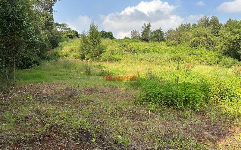 Residential Plot For Sale In Kikuyu, Ondiri-kiambu County.