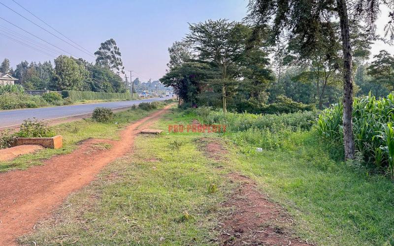 Half Acre Land For Sale On Tarmac In Limuru,mutarakwa