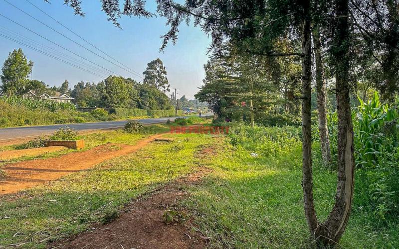 Half Acre Land For Sale On Tarmac In Limuru,mutarakwa