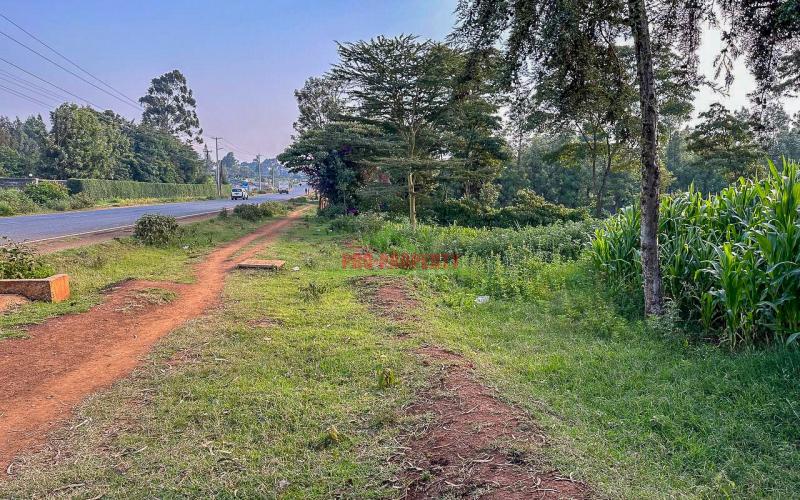 Half Acre Land For Sale On Tarmac In Limuru,mutarakwa