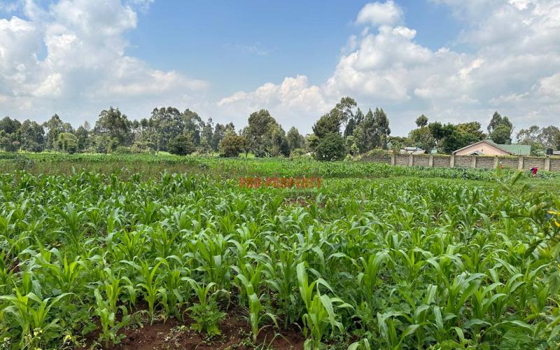 Prime Residential 1 Acre Land For Sale In Rironi Near Tilisi Estate.