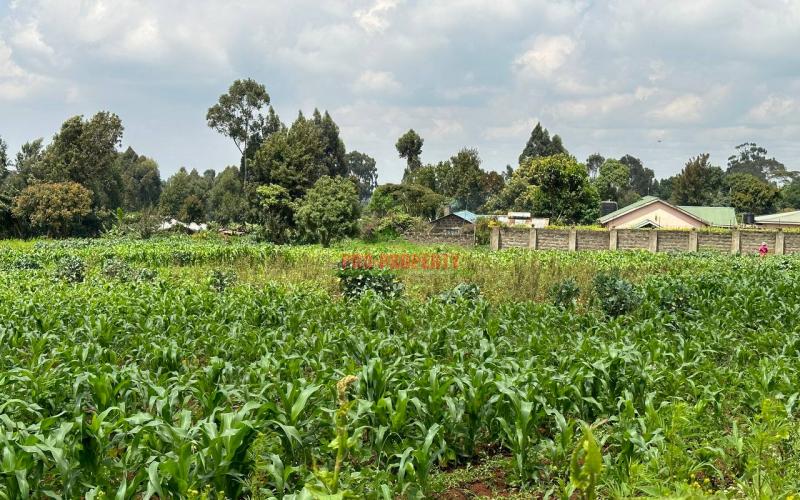 Prime Residential 1 Acre Land For Sale In Rironi Near Tilisi Estate.