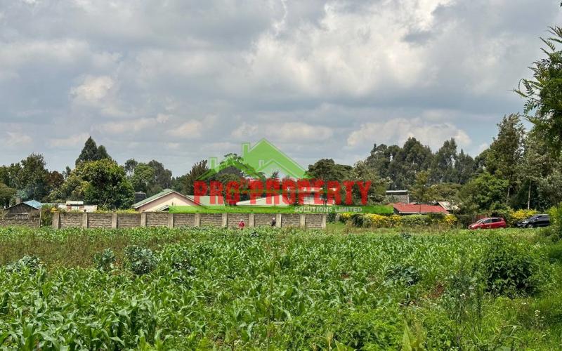 Prime Residential 1 Acre Land For Sale In Rironi Near Tilisi Estate.