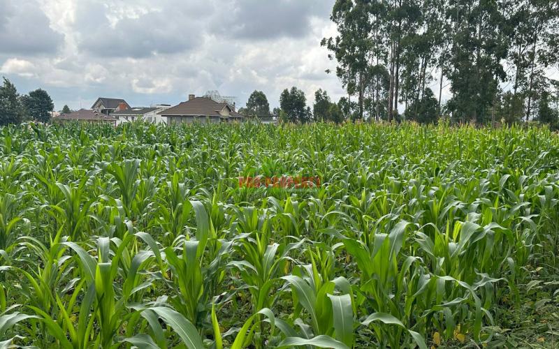 Prime Residential Plot For Sale In Kikuyu Near The Southern Bypass.