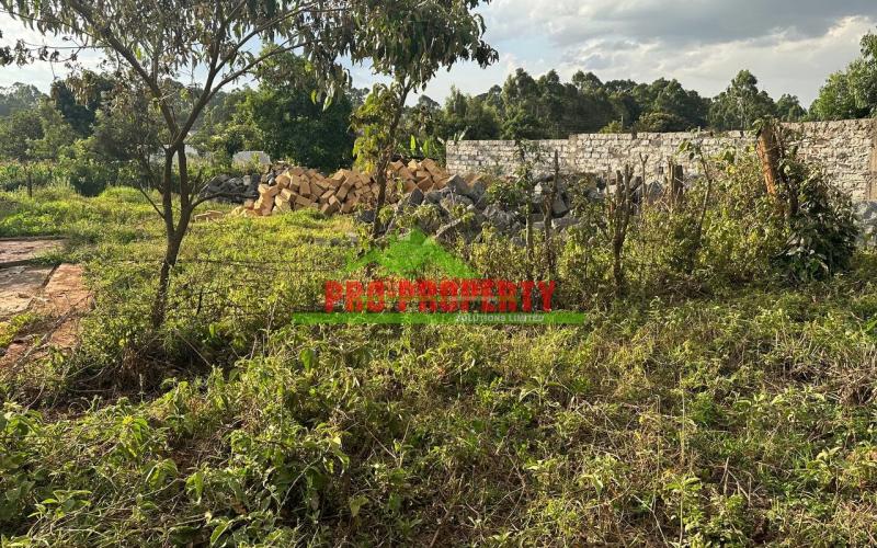 Prime Plot For Sale In Kikuyu, Gikambura.