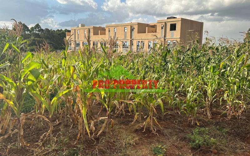 Prime Plot For Sale In Kikuyu, Gikambura.