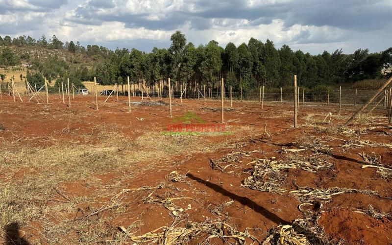 Residential Plots For Sale In A Gated Community Concept In Kikuyu Rose Gate