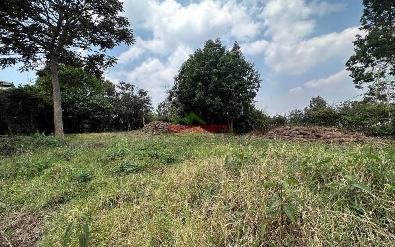 Commercial Plot For Sale Fronting Tarmac In Kinoo,muthiga