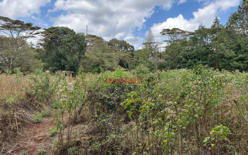 1 Acre Land For Lease In Kikuyu,ondiri