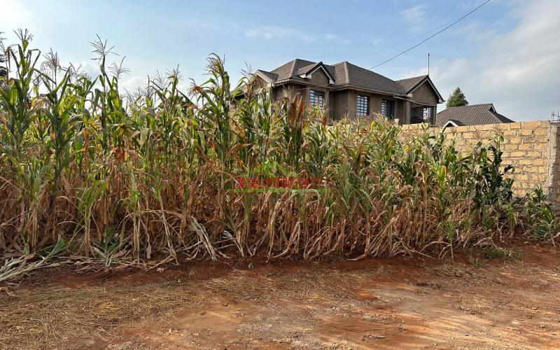 Prime Residential Plot For Sale In Kikuyu, Gikambura.
