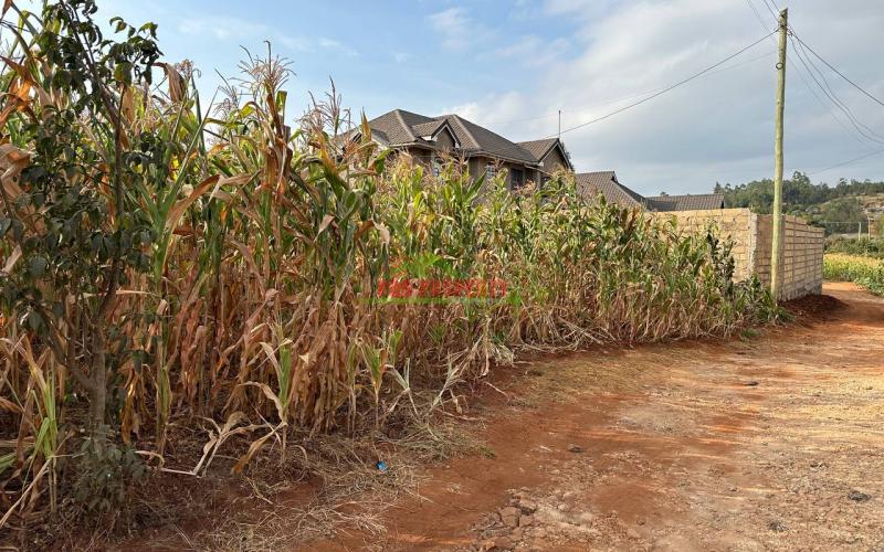 Prime Residential Plot For Sale In Kikuyu, Gikambura.