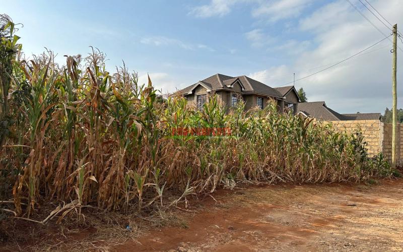 Prime Residential Plot For Sale In Kikuyu, Gikambura.