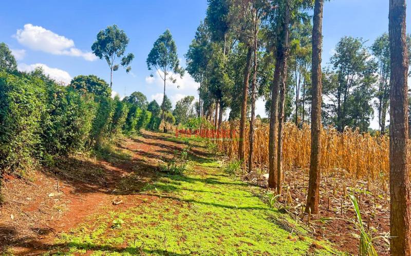 Prime Residential Plot For Sale In Kikuyu, Gikambura.
