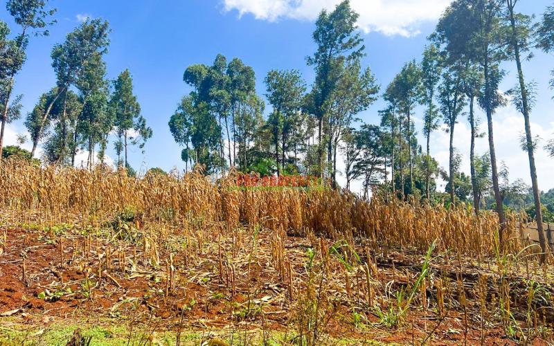 Prime Residential Plot For Sale In Kikuyu, Gikambura.
