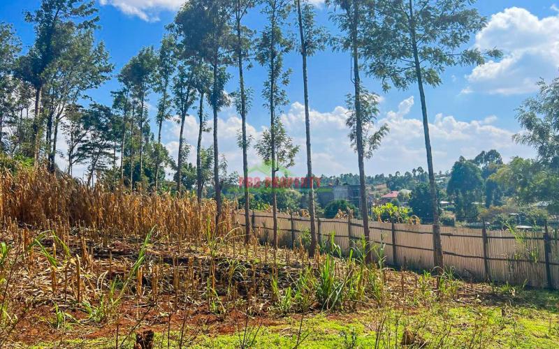 Prime Residential Plot For Sale In Kikuyu, Gikambura.