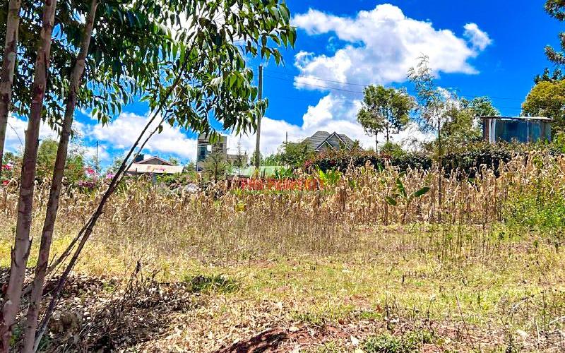 Prime Residential Plot For Sale In Kikuyu, Kamangu
