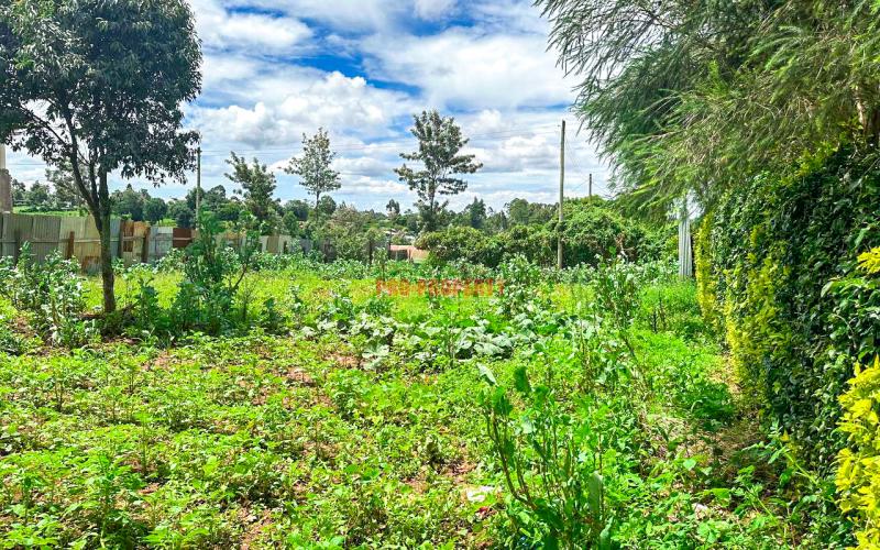Plot For Sale In Kikuyu, Gikambura (along Green-gardens Road).