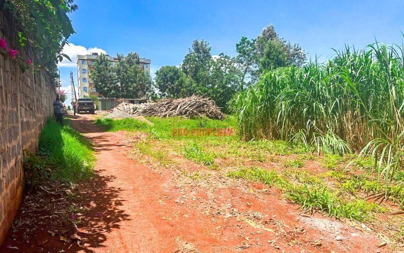 Prime Commercial Plot for Sale in Mwimuto, Route 119