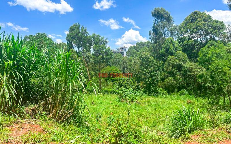 Prime Commercial Plot For Sale In Mwimuto, Route 119