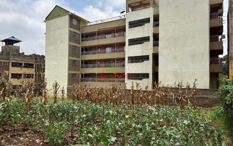 Commercial Plot For Sale In Kinoo, Regen