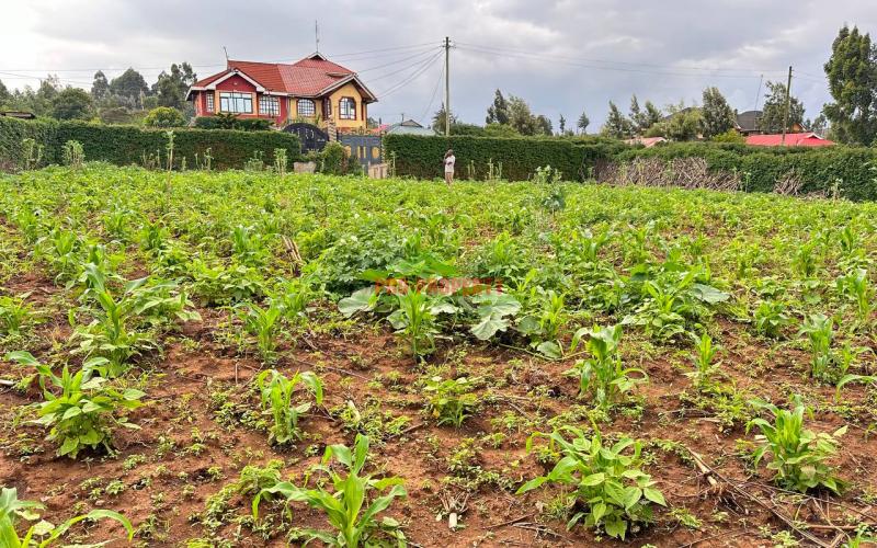 Prime Residential Plot For Sale in Kikuyu, Kamangu.