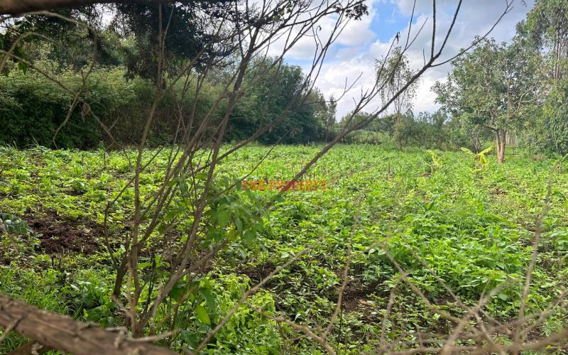 Affordable 1/4 Acre Plot For Sale In Kikuyu-thigio