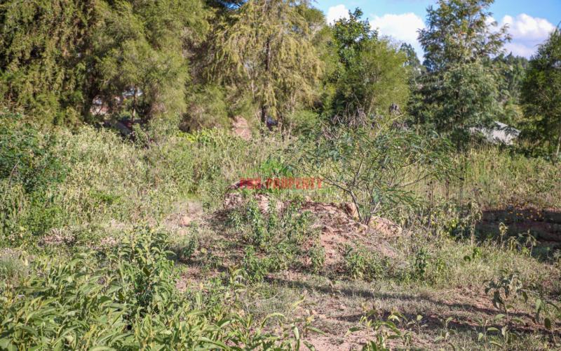 Prime Commercial Plot For Sale In Kikuyu, Ondiri-kamangu.