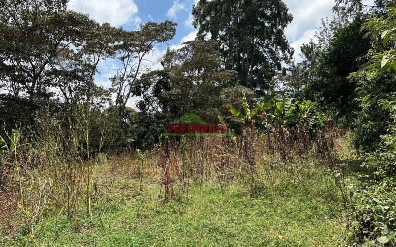 Commercial Plot For Sale In Kikuyu, Thogoto