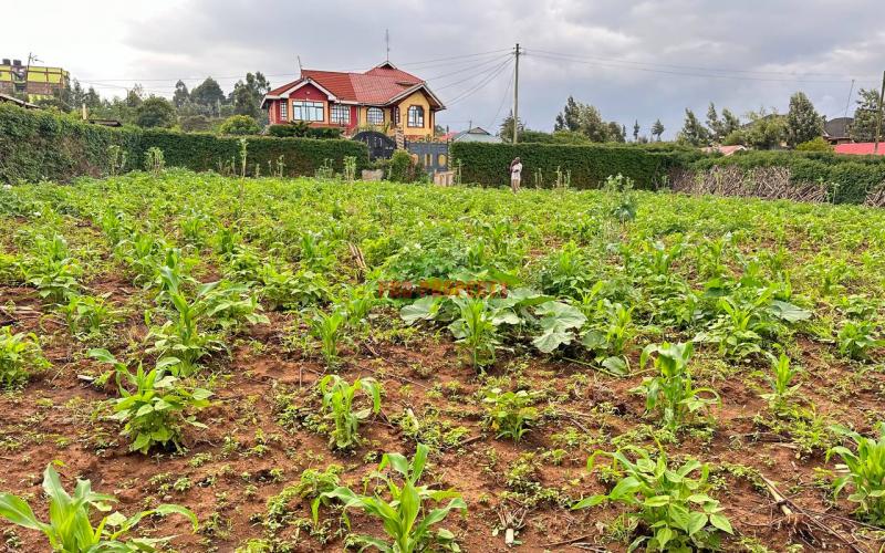 Prime Residential Plot For Sale In Kikuyu, Kamangu.