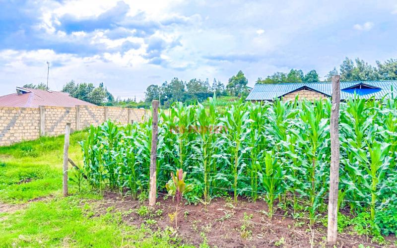 Prime Residential Plot For Sale In Kikuyu ,kamangu.