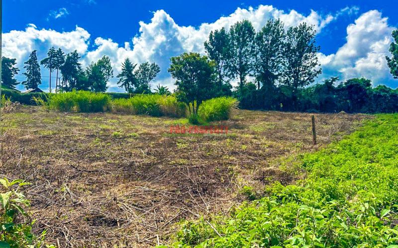 Prime Land For Sale In Kikuyu, Ondiri