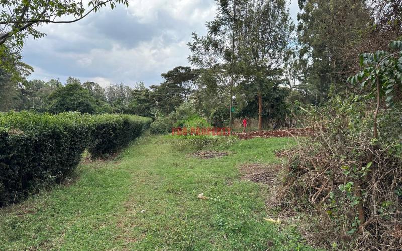 Commercial Plot For Sale In Kikuyu, Thogoto