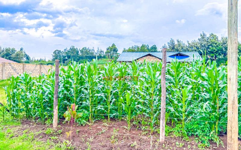 Prime Residential Plot For Sale In Kikuyu ,kamangu.