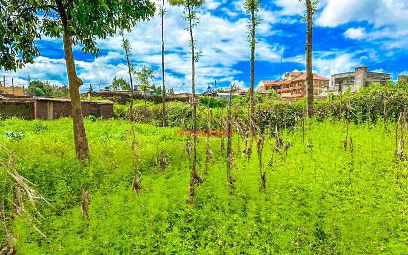 Commercial Plot For Sale In Kikuyu, Gikambura.