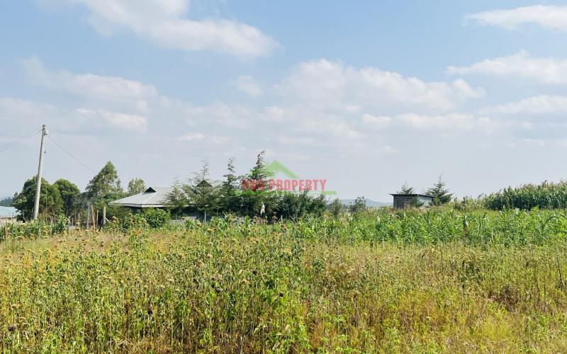 Prime Residential Plot For Sale In Kikuyu, Kamangu.