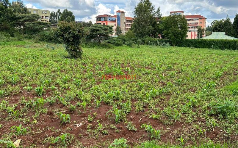 Prime Commercial Plot For Sale In Kikuyu, Thogoto.