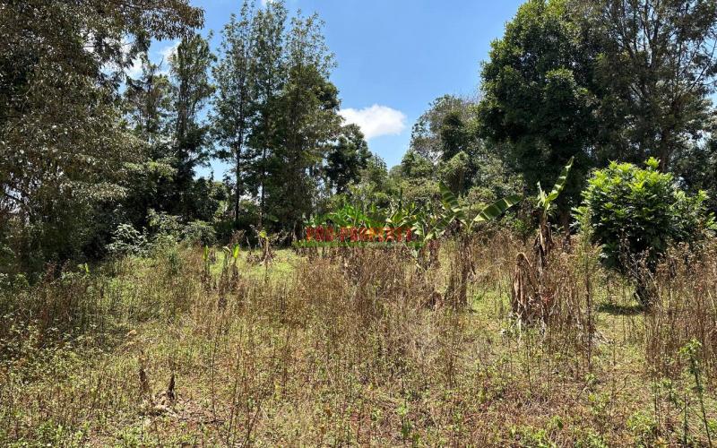 Commercial Plot For Sale In Kikuyu, Thogoto