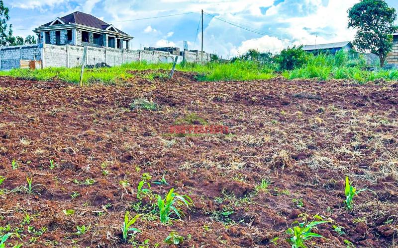 Prime Residential Plot For Sale In Kikuyu Gikambura.