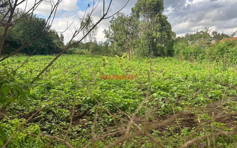 Affordable 1/4 Acre Plot For Sale In Kikuyu-thigio
