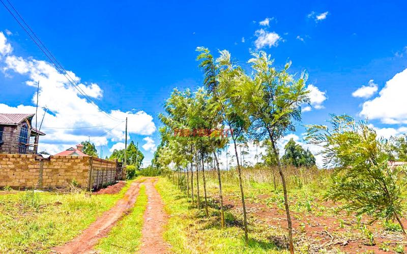 Prime Residential Plot For Sale In Kikuyu,gikambura