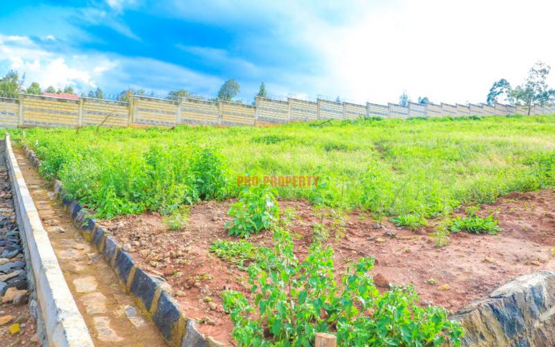 Rose Gate Estate Phase 3 In Kikuyu, Lusingetti