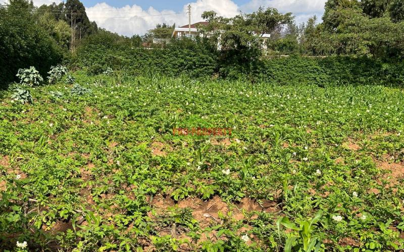 Prime Residential Plot For Sale In Kikuyu, Kamangu